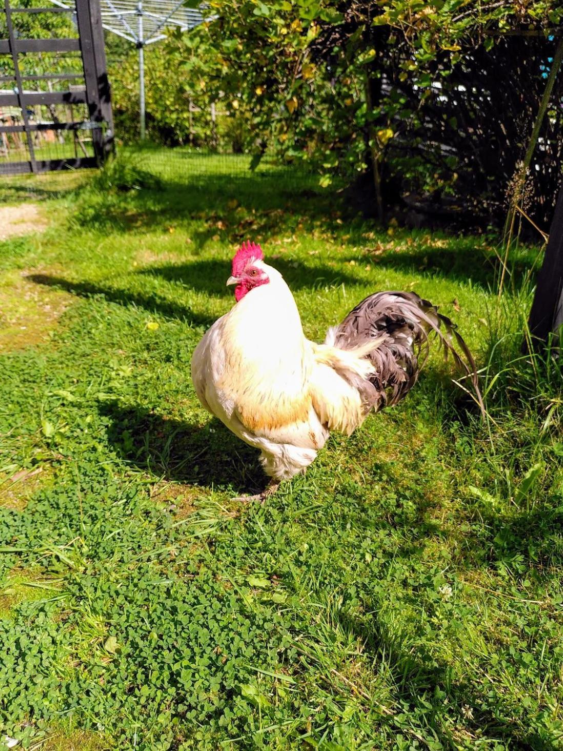 Laegenhet Naturnaera I Henån Zewnętrze zdjęcie